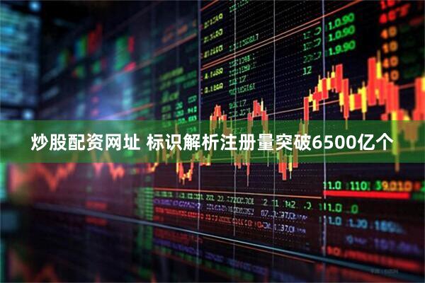 炒股配资网址 标识解析注册量突破6500亿个