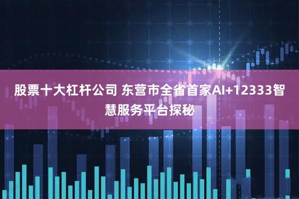 股票十大杠杆公司 东营市全省首家AI+12333智慧服务平台探秘