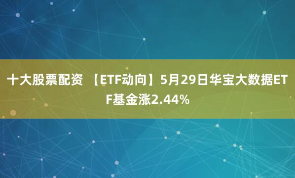 十大股票配资 【ETF动向】5月29日华宝大数据ETF基金涨2.44%