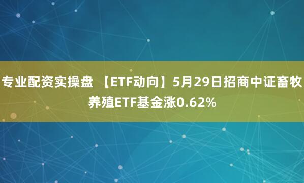 专业配资实操盘 【ETF动向】5月29日招商中证畜牧养殖ETF基金涨0.62%