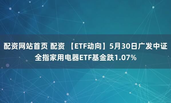 配资网站首页 配资 【ETF动向】5月30日广发中证全指家用电器ETF基金跌1.07%