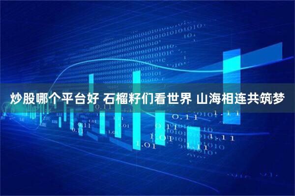 炒股哪个平台好 石榴籽们看世界 山海相连共筑梦